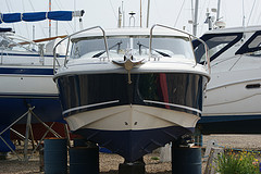 antifouling paint